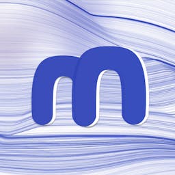 metaintro team avatar image