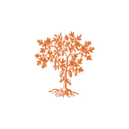Criollo Chocolatier logo