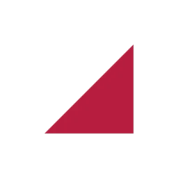 DIgSILENT logo