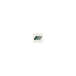 Motion Ventures logo