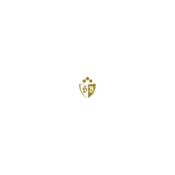 Hotel Bareiss GmbH logo