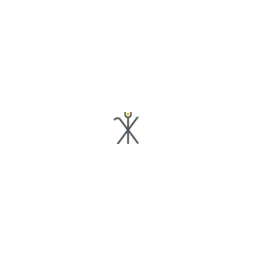 SAXONIA Technical Materials GmbH logo