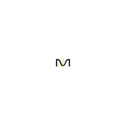 MicroTech Systems logo