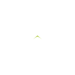 apexstaffing logo