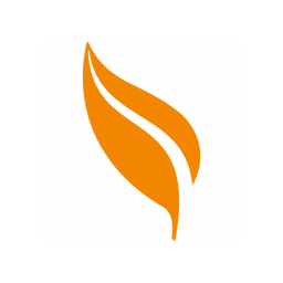 Sono Bello logo