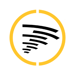 Cyberhawk logo