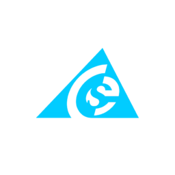 CSE Software Inc. logo