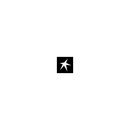 RiseGuide logo
