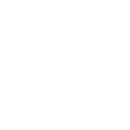 SteerBridge logo