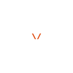 Vision Cybersecurity logo