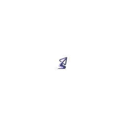Simpleprax logo