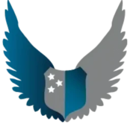 American Security Force logo
