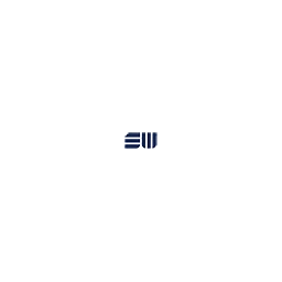 Shannon & Wilson Inc. logo