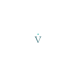 Voyant Beauty logo