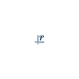 PaKo Consulting logo