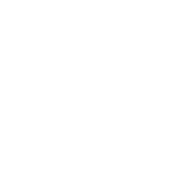 Turning Point Action logo