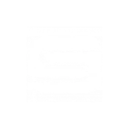 Syntronic logo