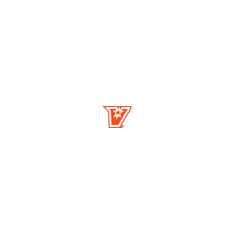 The University of Texas System / The University of Texas Rio Grande Valley logo