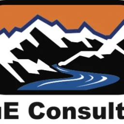 TRUE Consulting logo