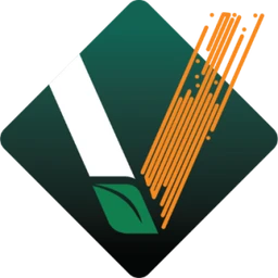 V2Soft logo
