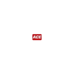 ACE Money Transfer Limited logo