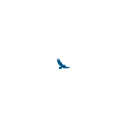 Blue Sky Innovators logo