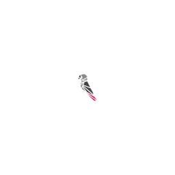 Greyparrot logo