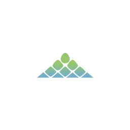 Ambarella logo