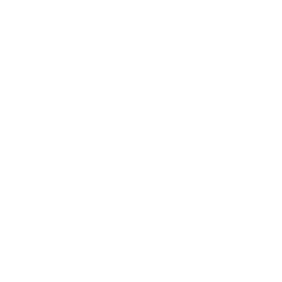 Overland AI logo