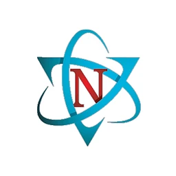 Nalley Consulting logo