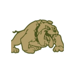 1 Alpha Consulting logo