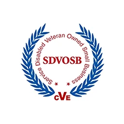 SDV Construction Inc. logo
