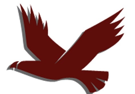 Falconwood, Inc. logo
